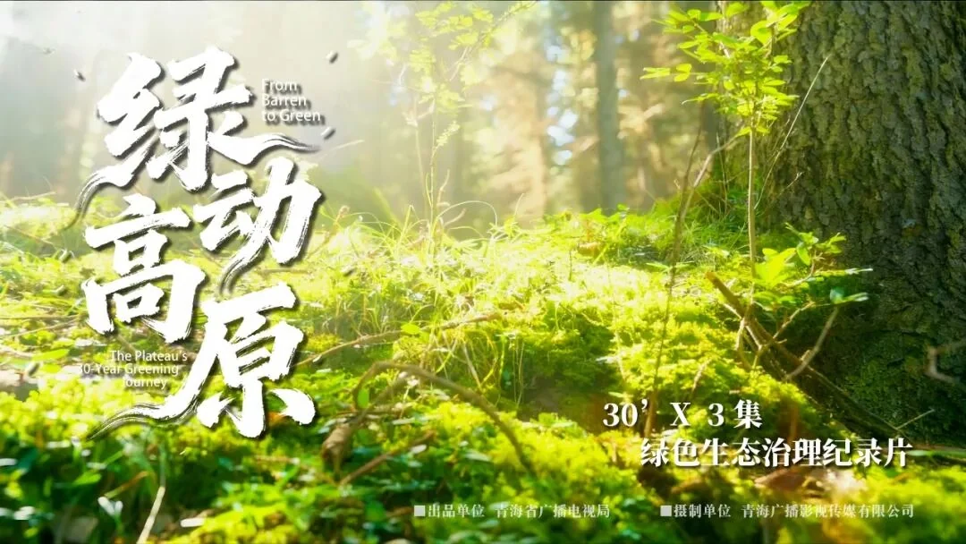 绿动高原纪录片项目画面